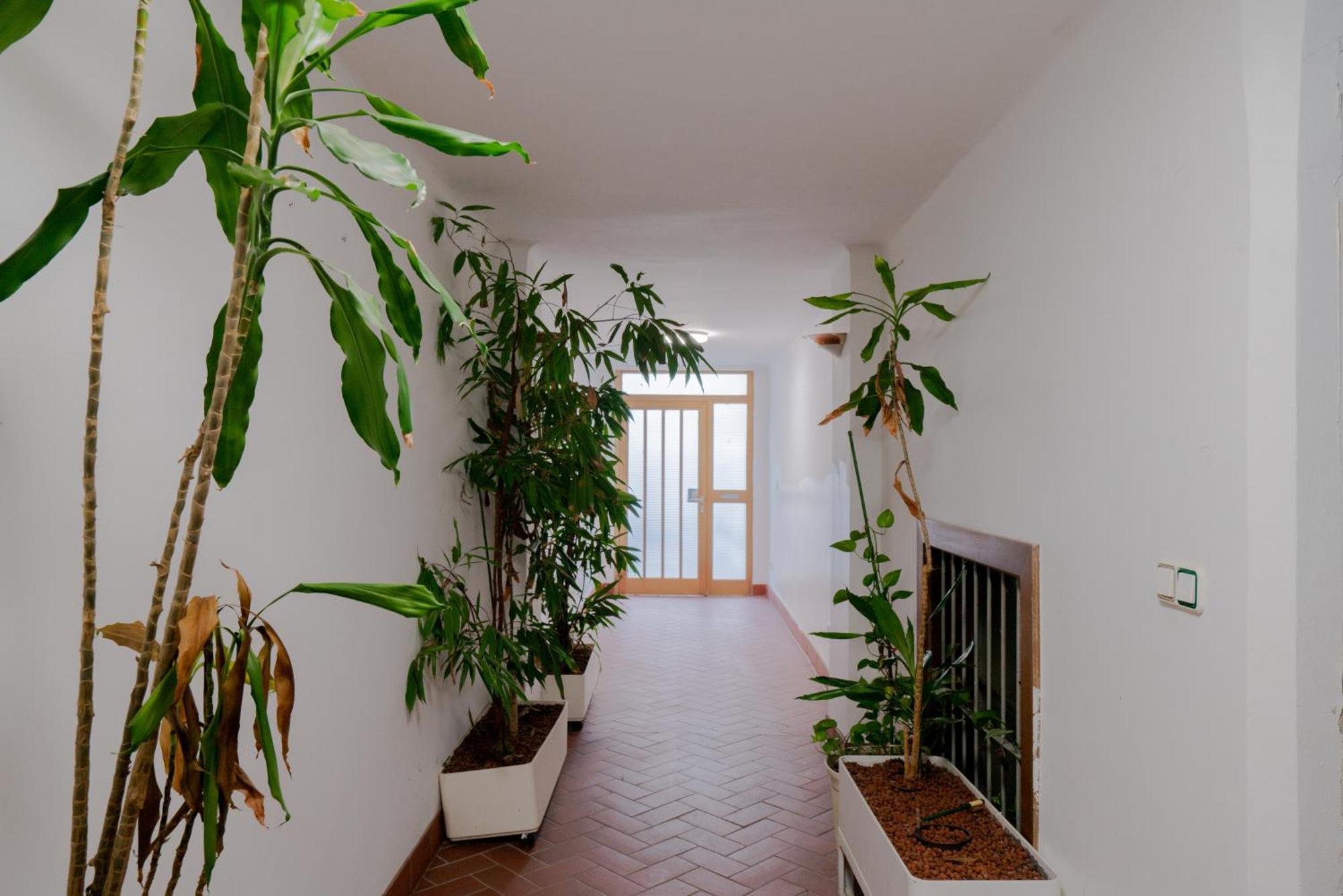 Vakantiehuis Bessemer - Charming With Garden Wenen